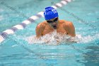 Swimming & Diving vs Babson  Swimming & Diving vs Babson College. - Photo by Keith Nordstrom : Wheaton, Swimming